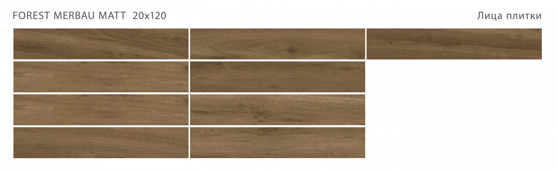 Керамогранит Starowood Forest Merbau Matt 20x120 Керамогранит Starowood Forest Merbau Matt 20x120