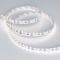 Светодиодная лента RS 2-5000 24V Day4000 2x2 8mm (3014, 240 LED/m, LUX), Arlight, 024465, изображение 2 Светодиодная лента RS 2-5000 24V Day4000 2x2 8mm (3014, 240 LED/m, LUX), Arlight, 024465, изображение 2