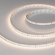 Светодиодная лента RT-A160-8mm 24V Warm3500 (12 W/m, IP20, 2835, 50m), Arlight, 028562(2), изображение 1 Светодиодная лента RT-A160-8mm 24V Warm3500 (12 W/m, IP20, 2835, 50m), Arlight, 028562(2), изображение 1