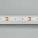 Светодиодная лента MICROLED-5000 24V White-CDW 8mm (2216, 240 LED/m, Bipolar), Arlight, 024507, изображение 3 Светодиодная лента MICROLED-5000 24V White-CDW 8mm (2216, 240 LED/m, Bipolar), Arlight, 024507, изображение 3