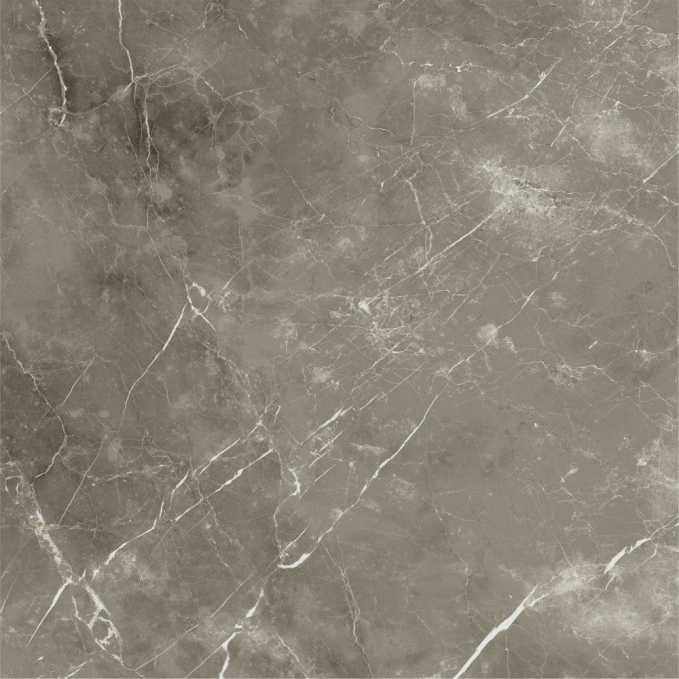 Керамогранит Italon Stellaris Tuscania Grey Nat 120x120, 600010002388 Керамогранит Italon Stellaris Tuscania Grey Nat 120x120, 600010002388