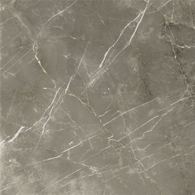 Керамогранит Italon Stellaris Tuscania Grey Nat 120x120, 600010002388 Керамогранит Italon Stellaris Tuscania Grey Nat 120x120, 600010002388