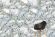 Керамогранит Vitra CityMarble Амазония Мультиколор Лаппато R9 60x60, K951839LPR Керамогранит Vitra CityMarble Амазония Мультиколор Лаппато R9 60x60, K951839LPR