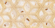 Настенная плитка TC Vector Opalo Brillante Molino 30x60 Настенная плитка TC Vector Opalo Brillante Molino 30x60