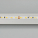 Светодиодная лента MICROLED-M240-4.5mm 24V White-CDW (9.6 W/m, IP20, 2216, 5m), Arlight, 024506(2), изображение 2 Светодиодная лента MICROLED-M240-4.5mm 24V White-CDW (9.6 W/m, IP20, 2216, 5m), Arlight, 024506(2), изображение 2