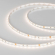 Светодиодная лента MICROLED-M240-4.5mm 24V White-CDW (9.6 W/m, IP20, 2216, 5m), Arlight, 024506(2), изображение 4 Светодиодная лента MICROLED-M240-4.5mm 24V White-CDW (9.6 W/m, IP20, 2216, 5m), Arlight, 024506(2), изображение 4