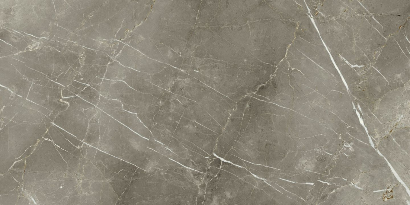 Керамогранит Italon Stellaris Tuscania Grey Nat 60x120, 610010002836 Керамогранит Italon Stellaris Tuscania Grey Nat 60x120, 610010002836