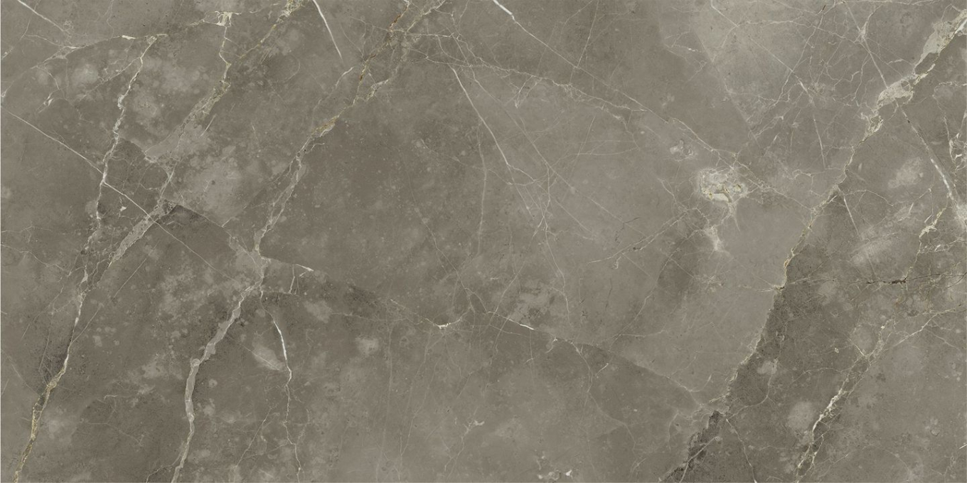 Керамогранит Italon Stellaris Tuscania Grey Nat 60x120, 610010002836 Керамогранит Italon Stellaris Tuscania Grey Nat 60x120, 610010002836