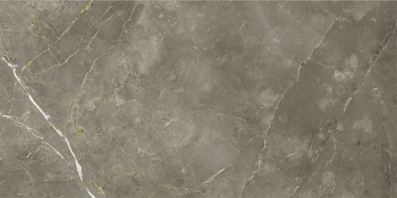 Керамогранит Italon Stellaris Tuscania Grey Nat 60x120, 610010002836 Керамогранит Italon Stellaris Tuscania Grey Nat 60x120, 610010002836