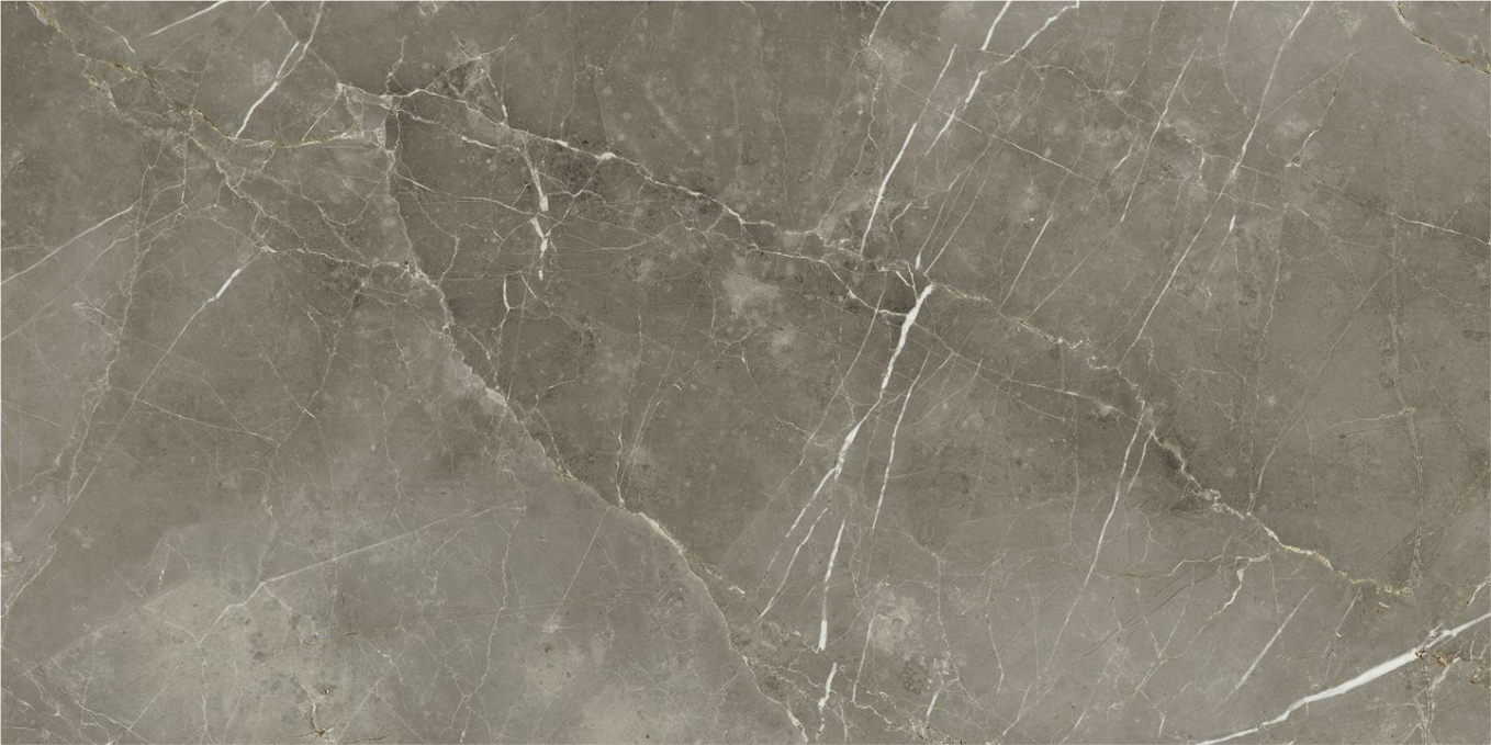 Керамогранит Italon Stellaris Tuscania Grey Nat 60x120, 610010002836 Керамогранит Italon Stellaris Tuscania Grey Nat 60x120, 610010002836
