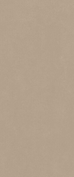 Настенная плитка Italon Surface Cashmere Grey Ret 50x120, 600010002444 Настенная плитка Italon Surface Cashmere Grey Ret 50x120, 600010002444