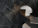 Керамогранит Dogma Project Antibacterial Marquina Dark Soft 60x120, DPA601206 Керамогранит Dogma Project Antibacterial Marquina Dark Soft 60x120, DPA601206