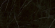 Керамогранит Creatile Stone and Marble Marquina Black 60x120, 216339