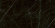Керамогранит Creatile Stone and Marble Marquina Black 60x120, 216339