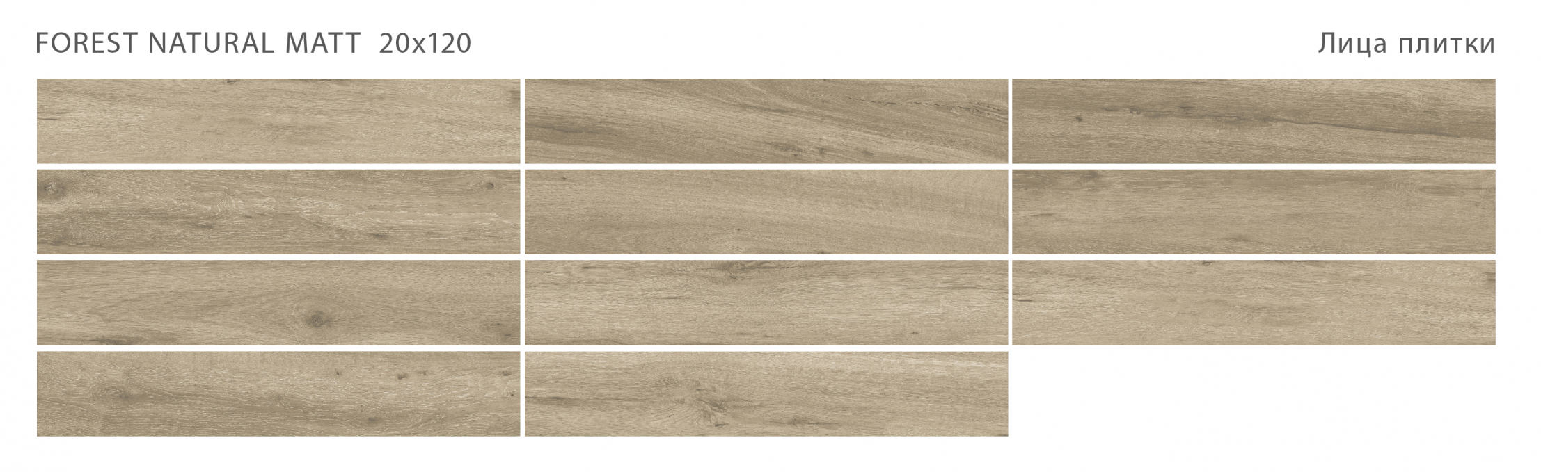 Керамогранит Starowood Forest Natural Matt 20x120 Керамогранит Starowood Forest Natural Matt 20x120