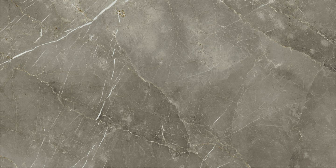 Керамогранит Italon Stellaris Tuscania Grey Nat 80x160, 610010002843 Керамогранит Italon Stellaris Tuscania Grey Nat 80x160, 610010002843