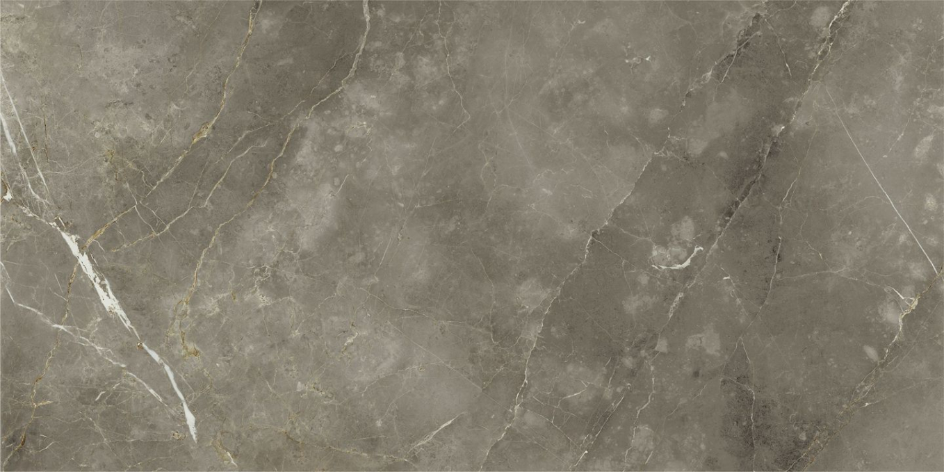 Керамогранит Italon Stellaris Tuscania Grey Nat 80x160, 610010002843 Керамогранит Italon Stellaris Tuscania Grey Nat 80x160, 610010002843