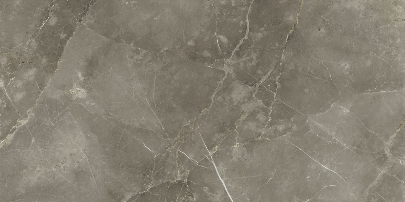 Керамогранит Italon Stellaris Tuscania Grey Nat 80x160, 610010002843 Керамогранит Italon Stellaris Tuscania Grey Nat 80x160, 610010002843