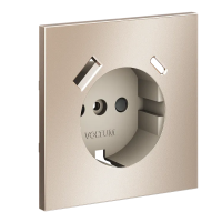 Накладка для розетки с заземлением и защитными шторками, с USB A+C, S70 Metal (платина), Voltum, VLSM001010