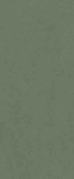 Настенная плитка Italon Surface Forest Green Ret 50x120, 600010002445 Настенная плитка Italon Surface Forest Green Ret 50x120, 600010002445