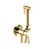 Смеситель гигиенический Webert Sax Evolution SE870303010 золото глянцевый с внутренней частью Смеситель гигиенический Webert Sax Evolution SE870303010 золото глянцевый с внутренней частью