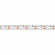 Светодиодная лента RS 2-5000 24V Day5000 2x2 15mm (3014, 240 LED/m, LUX), Arlight, 024469, изображение 2 Светодиодная лента RS 2-5000 24V Day5000 2x2 15mm (3014, 240 LED/m, LUX), Arlight, 024469, изображение 2