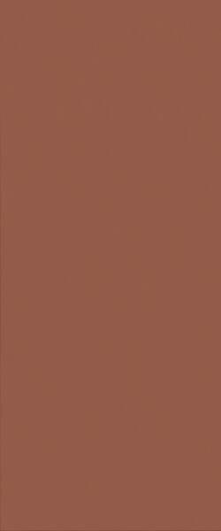 Настенная плитка Italon Surface Clay Red Ret 50x120, 600010012168