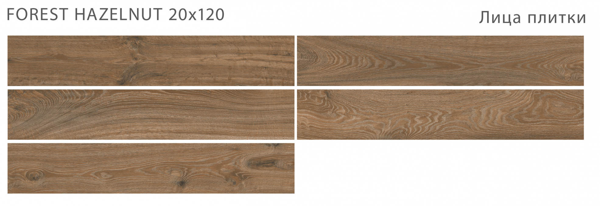 Керамогранит Starowood Forest Hazelnut Matt 20x120 Керамогранит Starowood Forest Hazelnut Matt 20x120
