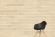 Керамогранит Vitra Wood-X Ореx Кремовый Матовый R10A 20x120, K949581R Керамогранит Vitra Wood-X Ореx Кремовый Матовый R10A 20x120, K949581R