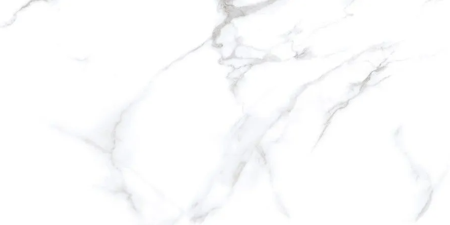 Керамогранит Neodom Classic Marble Statuario Chic Polished 60x120, N20531 Керамогранит Neodom Classic Marble Statuario Chic Polished 60x120, N20531