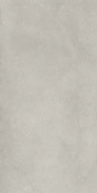 Керамогранит Italon Fossil Gray Ret 60x120, 610010004099 Керамогранит Italon Fossil Gray Ret 60x120, 610010004099