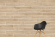 Керамогранит Vitra Wood-X Ореx Голд Терра Матовый R10A 20x120, K949583R