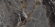 Керамогранит ONLYGRES Marble MOG502 60x120x9 полир. рект. (1.44 м2)