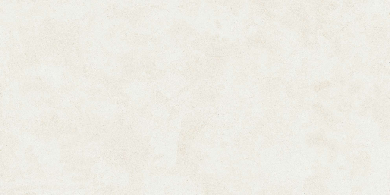 Керамогранит Buono Ceramica Emma Fiore Base Matt 60x120, EVL4802M
