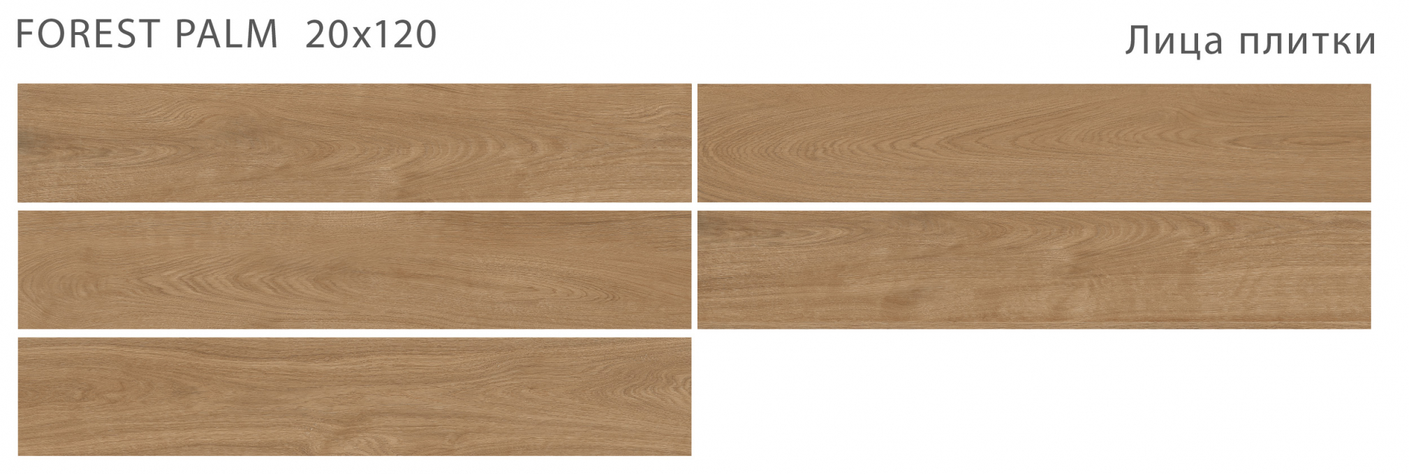 Керамогранит Starowood Forest Palm Matt 20x120 Керамогранит Starowood Forest Palm Matt 20x120