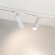 Светильник LGD-ARTEMIS-TRACK-4TR-R55-12W Day4000 (WH, 8-80 deg, 230V, DALI), Arlight, 057881, изображение 2 Светильник LGD-ARTEMIS-TRACK-4TR-R55-12W Day4000 (WH, 8-80 deg, 230V, DALI), Arlight, 057881, изображение 2