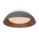 Потолочный светильник Лунный свет / Moonlight 62 Вт LED с пультом ДУ, Freya, FR5277CL-L72GR Потолочный светильник Лунный свет / Moonlight 62 Вт LED с пультом ДУ, Freya, FR5277CL-L72GR
