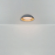 Потолочный светильник Лунный свет / Moonlight 62 Вт LED с пультом ДУ, Freya, FR5277CL-L72GR Потолочный светильник Лунный свет / Moonlight 62 Вт LED с пультом ДУ, Freya, FR5277CL-L72GR