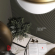 Стеновая панель Decor-Dizayn DD905(3m), 180x10x3000 мм Стеновая панель Decor-Dizayn DD905(3m), 180x10x3000 мм