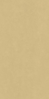 Настенная плитка Italon Surface Gold Yellow Ret 80x160, 600010002373 Настенная плитка Italon Surface Gold Yellow Ret 80x160, 600010002373