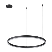 Светильник подвесной LED 50W 3000/4000/6000К 220V ECHO LEDIO LN26 262 LUMION 6530/50L Светильник подвесной LED 50W 3000/4000/6000К 220V ECHO LEDIO LN26 262 LUMION 6530/50L