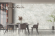 Керамогранит Maimoon Ceramica Glossy Iceland Gold 60x60 Керамогранит Maimoon Ceramica Glossy Iceland Gold 60x60