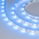Светодиодная лента RT-B60-10mm 24V RGBW-White (14.4 W/m, IP20, 5m), Arlight, 018325(3), изображение 1 Светодиодная лента RT-B60-10mm 24V RGBW-White (14.4 W/m, IP20, 5m), Arlight, 018325(3), изображение 1