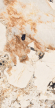 Керамогранит Artcer Marble Patagonia Poli 60x120