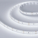 Светодиодная лента RT-A168-10mm 24V White6000 (17 W/m, IP20, 2835, 5m), Arlight, 019093(2), изображение 1 Светодиодная лента RT-A168-10mm 24V White6000 (17 W/m, IP20, 2835, 5m), Arlight, 019093(2), изображение 1