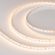 Светодиодная лента RT-A98-8mm 24V Warm2700 (10 W/m, IP20, 2835, 5m), Arlight, 019928(2), изображение 1 Светодиодная лента RT-A98-8mm 24V Warm2700 (10 W/m, IP20, 2835, 5m), Arlight, 019928(2), изображение 1