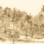 Обои Zambaiti Parati Savana, 77562