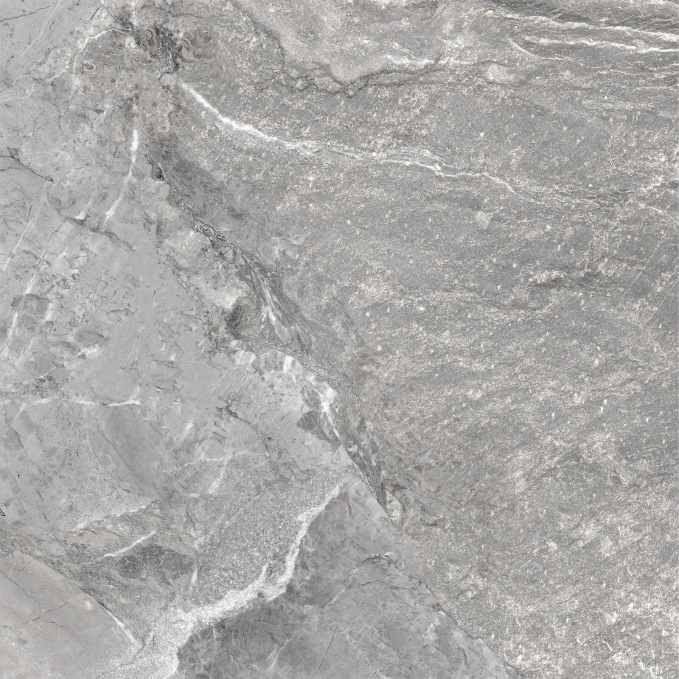 Керамогранит NewTrend Wild Dark 60x60, D60260M Керамогранит NewTrend Wild Dark 60x60, D60260M
