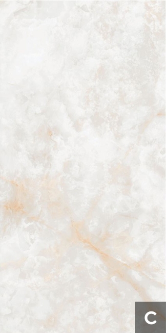 Керамогранит NT Ceramic Atlas Wide Li Susu Dragon 120x240, NTT3019P (B) Керамогранит NT Ceramic Atlas Wide Li Susu Dragon 120x240, NTT3019P (B)