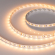 Светодиодная лента UL-A140-10mm 24V Day-MIX (20 W/m, IP20, 5m), Arlight, 052835, изображение 2 Светодиодная лента UL-A140-10mm 24V Day-MIX (20 W/m, IP20, 5m), Arlight, 052835, изображение 2